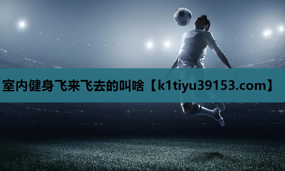 室内健身飞来飞去的叫啥