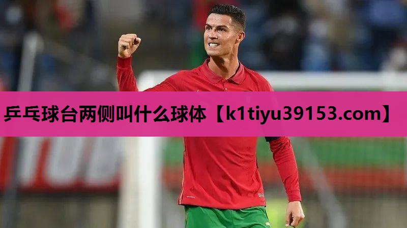 乒乓球台两侧叫什么球体