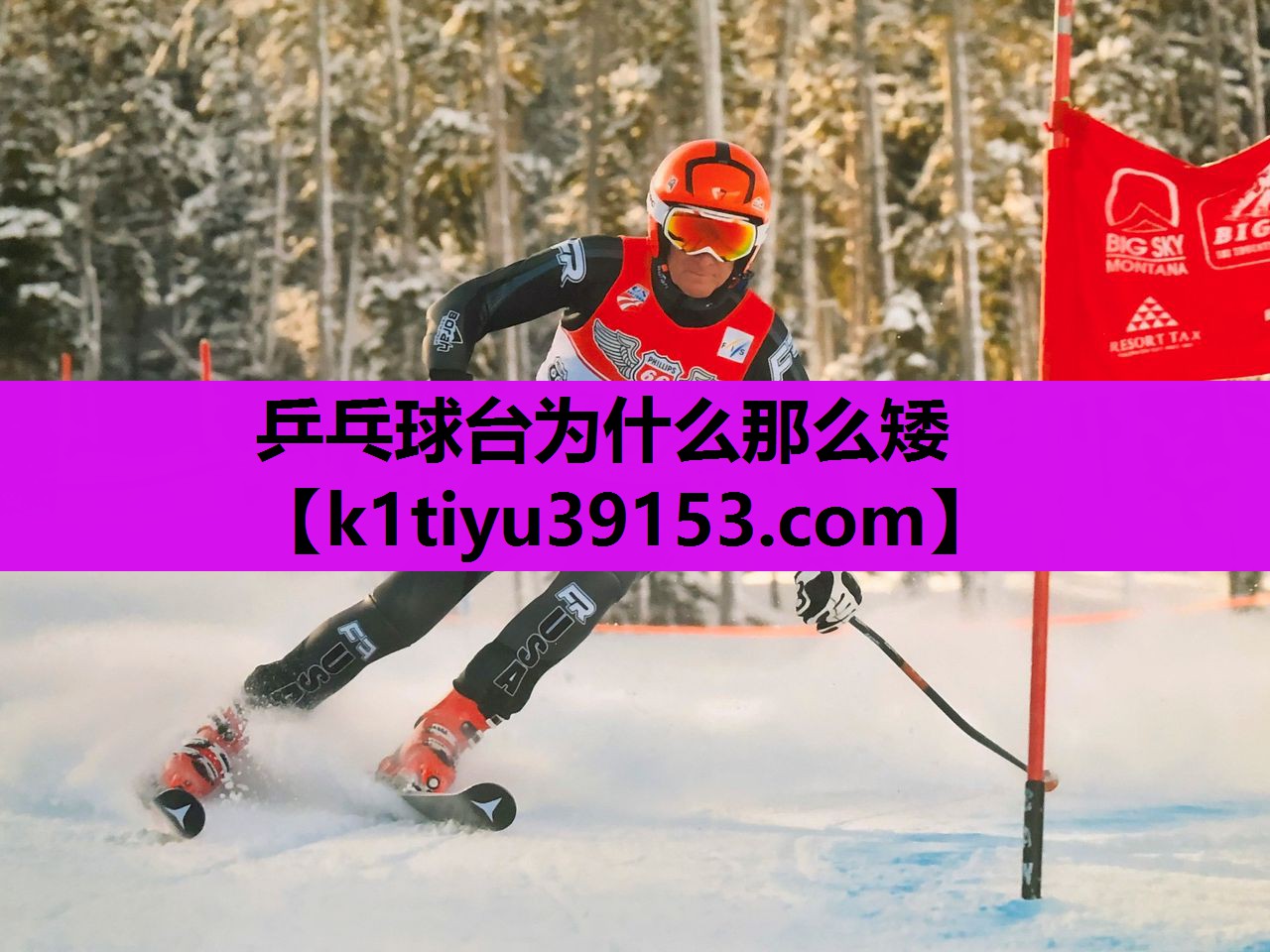 乒乓球台为什么那么矮