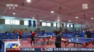 2026世界杯官网入口 乒乓球台内有几个球