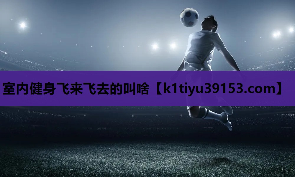 室内健身飞来飞去的叫啥