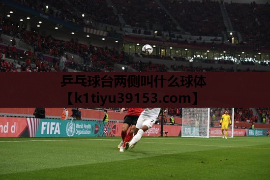 乒乓球台两侧叫什么球体