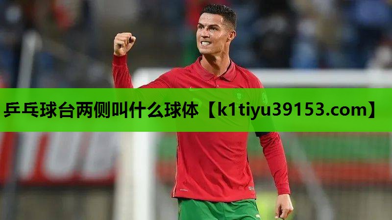 乒乓球台两侧叫什么球体