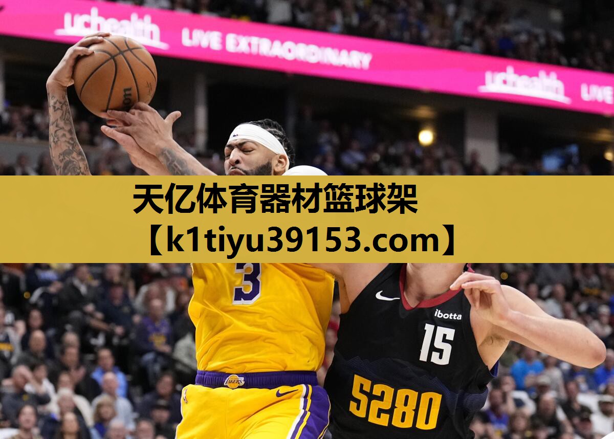 天亿体育器材篮球架